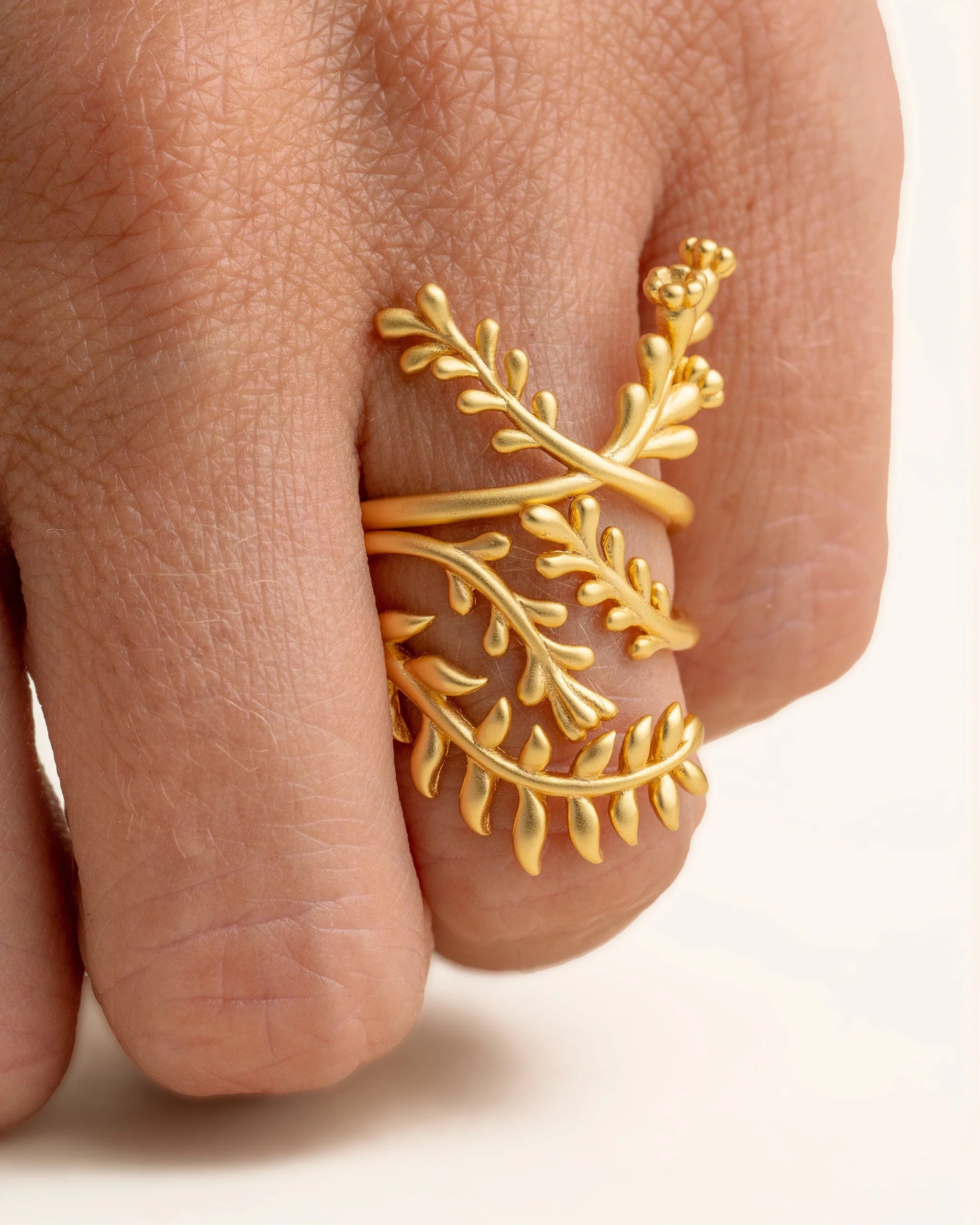 Anillo Goethe florece
