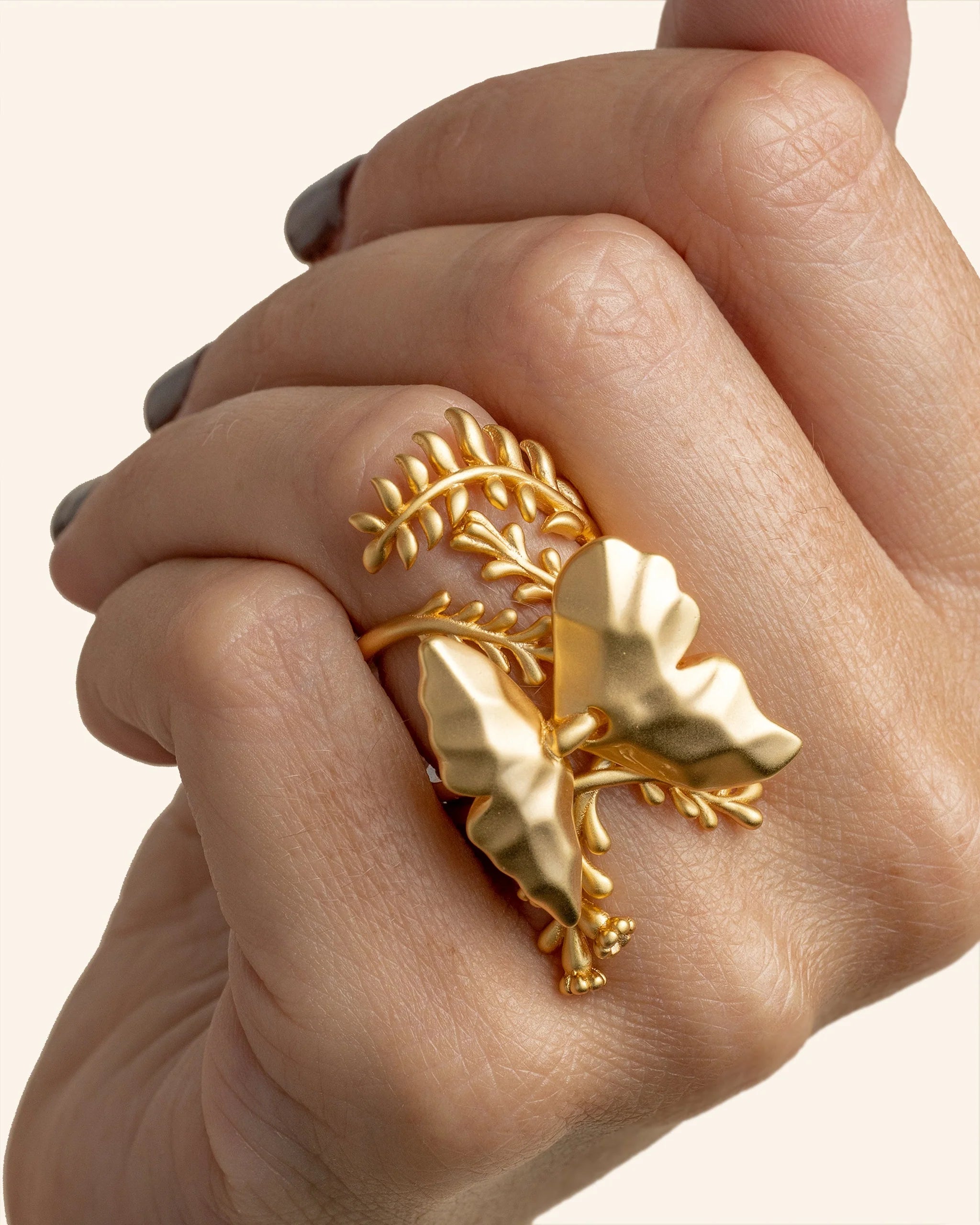 Anillo Metamorfosis